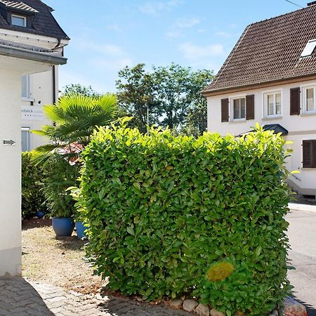 Bluehome Ferienwohnung Bad Bellingen Eksteriør billede